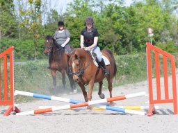 IMG_0552_web